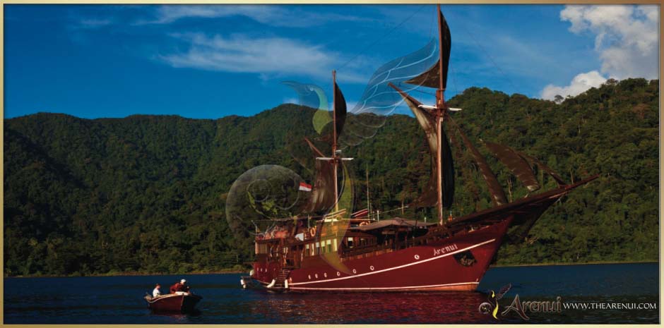 The Arenu Boutique Livebaoard